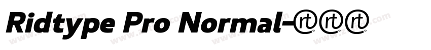 Ridtype Pro Normal字体转换